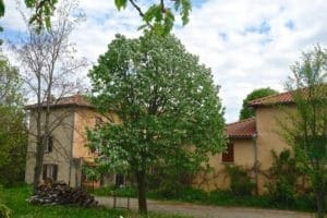 Maison Charbonnières les Bains 69260